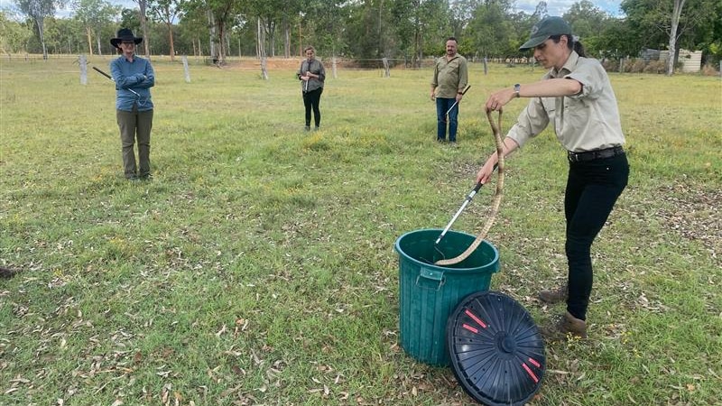 Dr Christina Zdenek catching a snake and putting it in a plastic bin. 