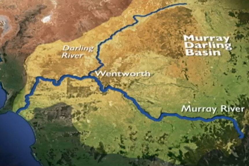 Murray map