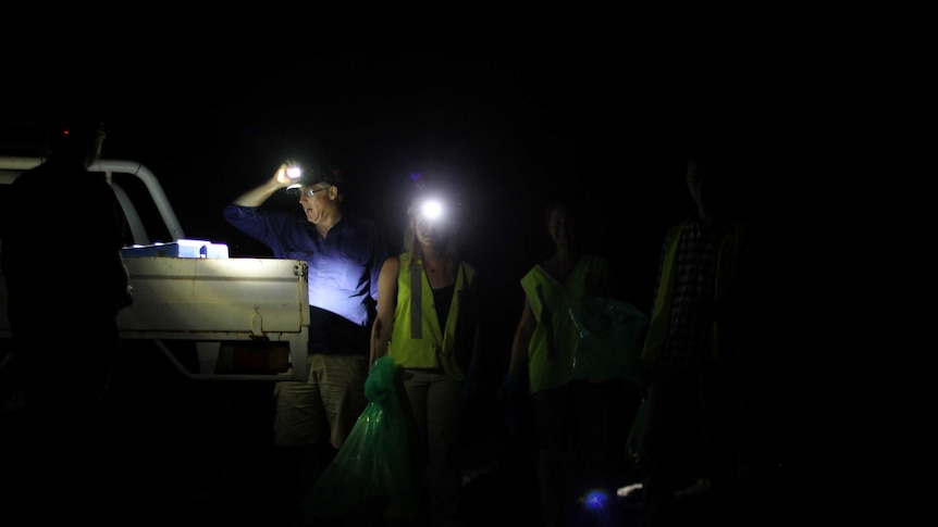 A group of people in the dark with head torches on.