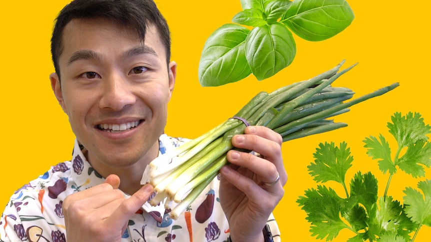 Thanh Truong is seen against a yellow background holding a bunch of spring onions, with coriander and basil behind him.