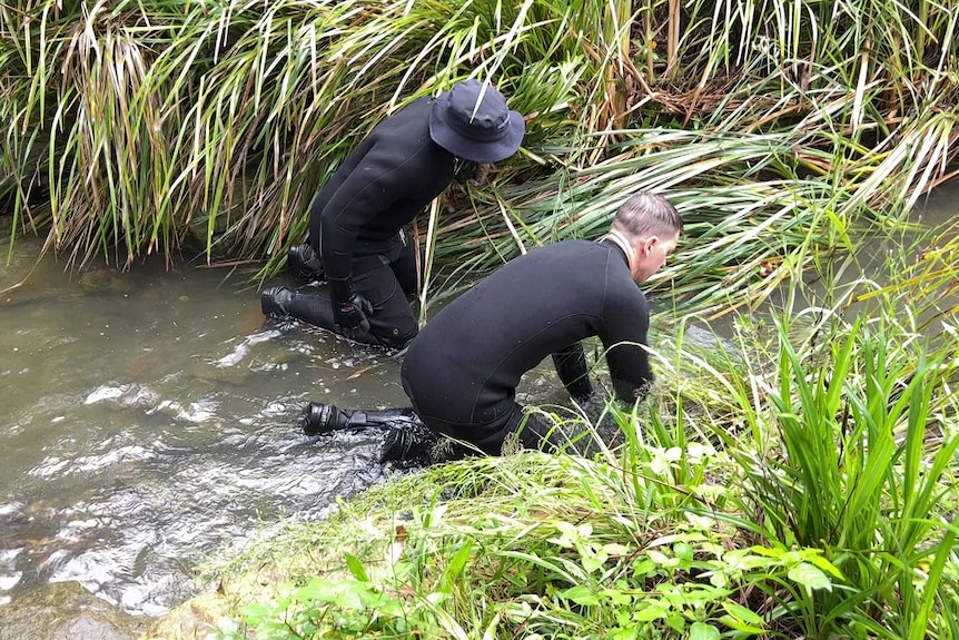 NSW Police divers search the waters in Lambton newcastle as part of investigation into deaths of Luke Davies and Jesse Baird