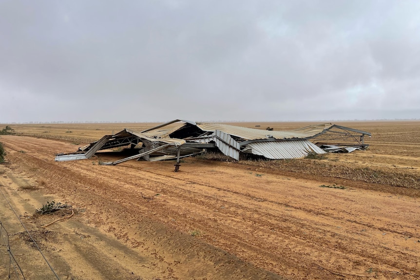 Rod Messina's farm in Mullewa after cyclone