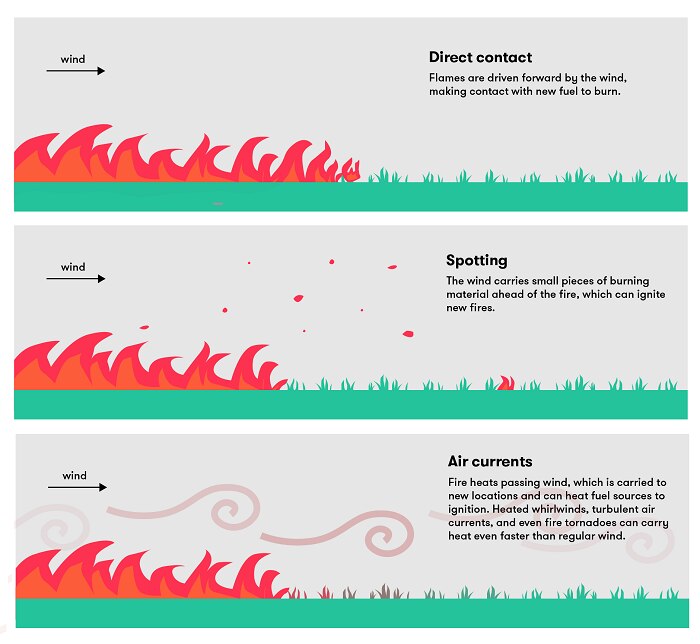 A diagram showing the different ways fire spreads: direct contact, spotting, air currents