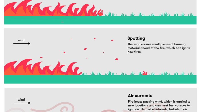 A diagram showing the different ways fire spreads: direct contact, spotting, air currents