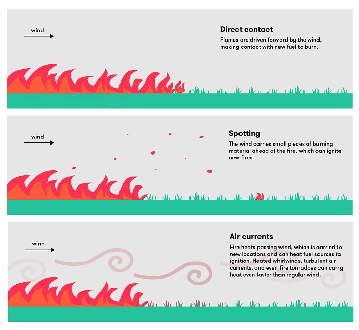 A diagram showing the different ways fire spreads: direct contact, spotting, air currents