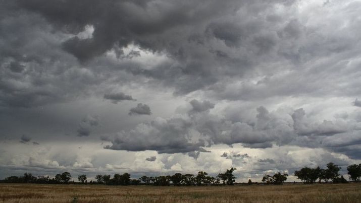 Storm hits WA Wheatbelt