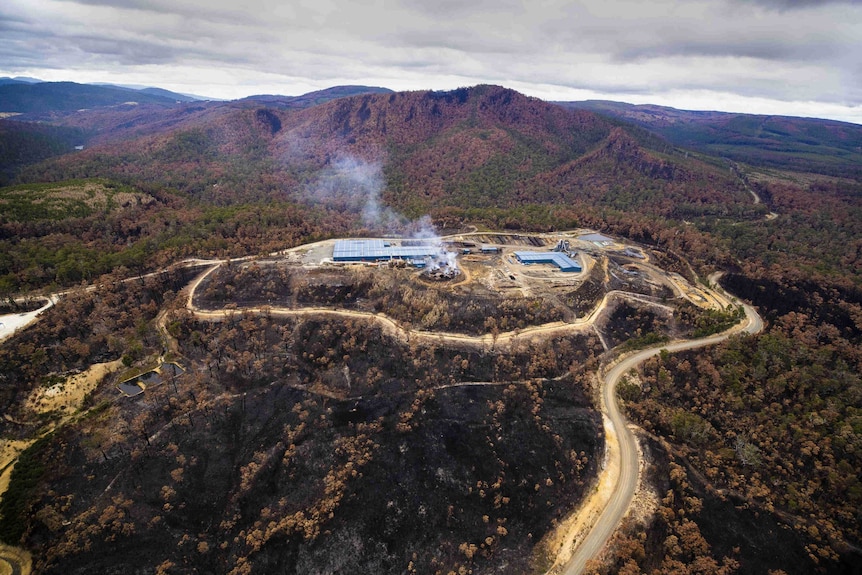 A collection o buildings sit in a clearing surrounded by blackened bush