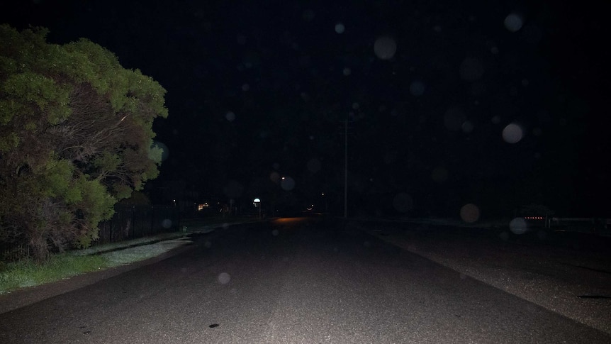 A tree is illuminated next to a dark and deserted road at Pinkenba on Brisbane's outskirts.