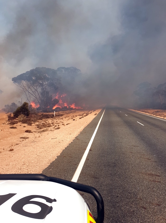 Flames and smoke drift across a road.