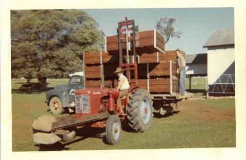 A boy on a tractor carrying a high stack of wooden crates.