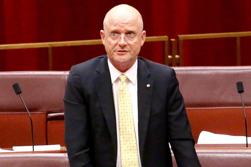 Senator David Leyonhjelm stands as he speaks from his seat in the Senate Chamber.