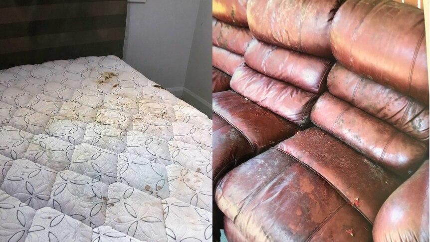A stained mattress and dilapidated lounge found in a group home.