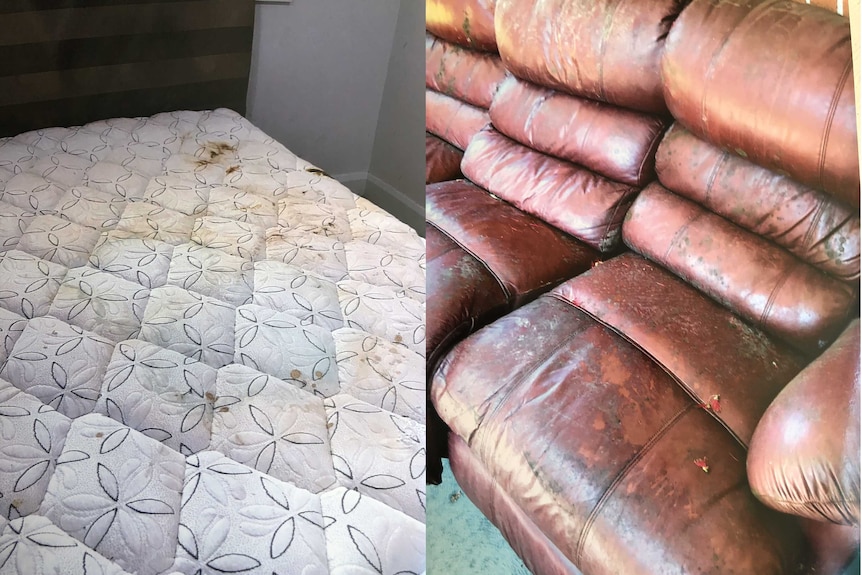 A stained mattress and dilapidated lounge found in a group home.