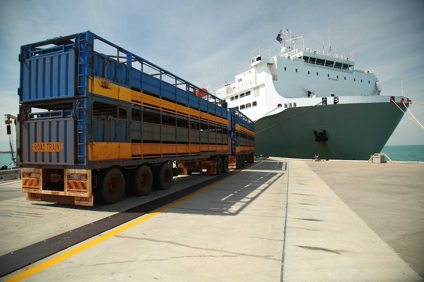 港口的货轮卸下集装箱