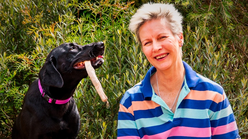 Scientist Julianne Farrell with her black Labrador dog Ruby, Ruby holds a rolled up cloth with scent of bed bugs in her mouth