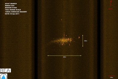 General view of Air France 447 wreckage using sonar imaging: 120 kHz, range of 700 metres.