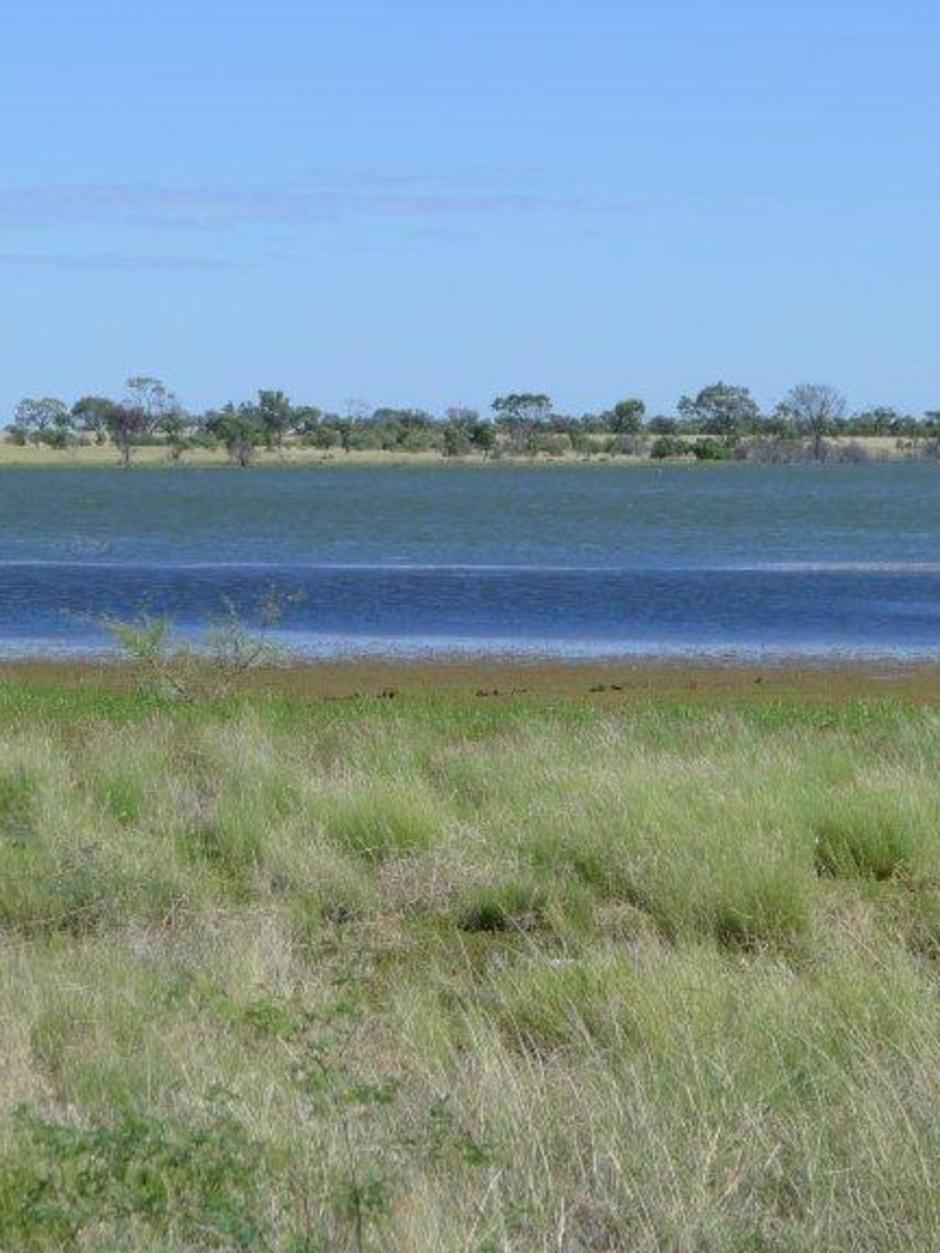 'Glorious' outback Queensland blooms and booms - ABC News