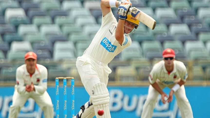 The Warriors' Marcus Harris bats on day one of WA's Shield match against South Australia.