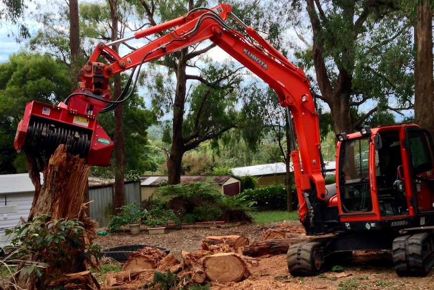 Rod Bell's excavator has a forestry mulcher attachment, which is shown cutting into a tree.
