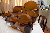 A close up of a quartet of two violins, a violin and cello.