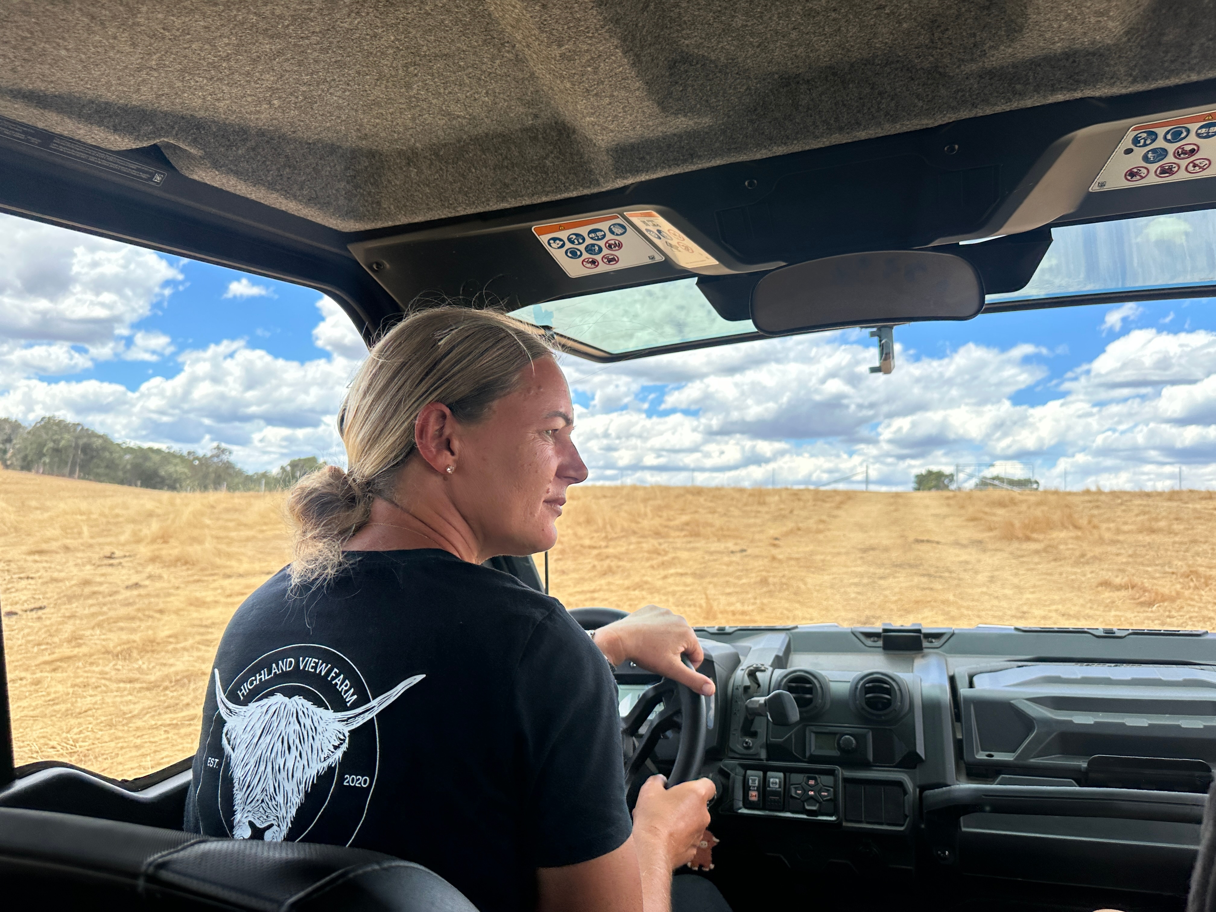 A woman with blonde hair in a low bun wearing a black shirt with a cow on the back driving a buggy in a paddock