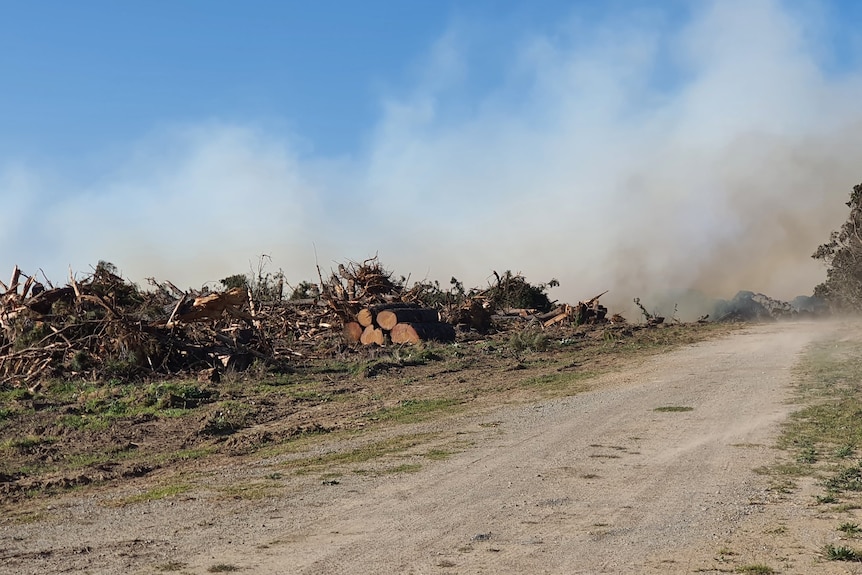 Smoke in the sky above logs next to a dirt road