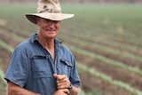 Farmer stands in field with battered hat