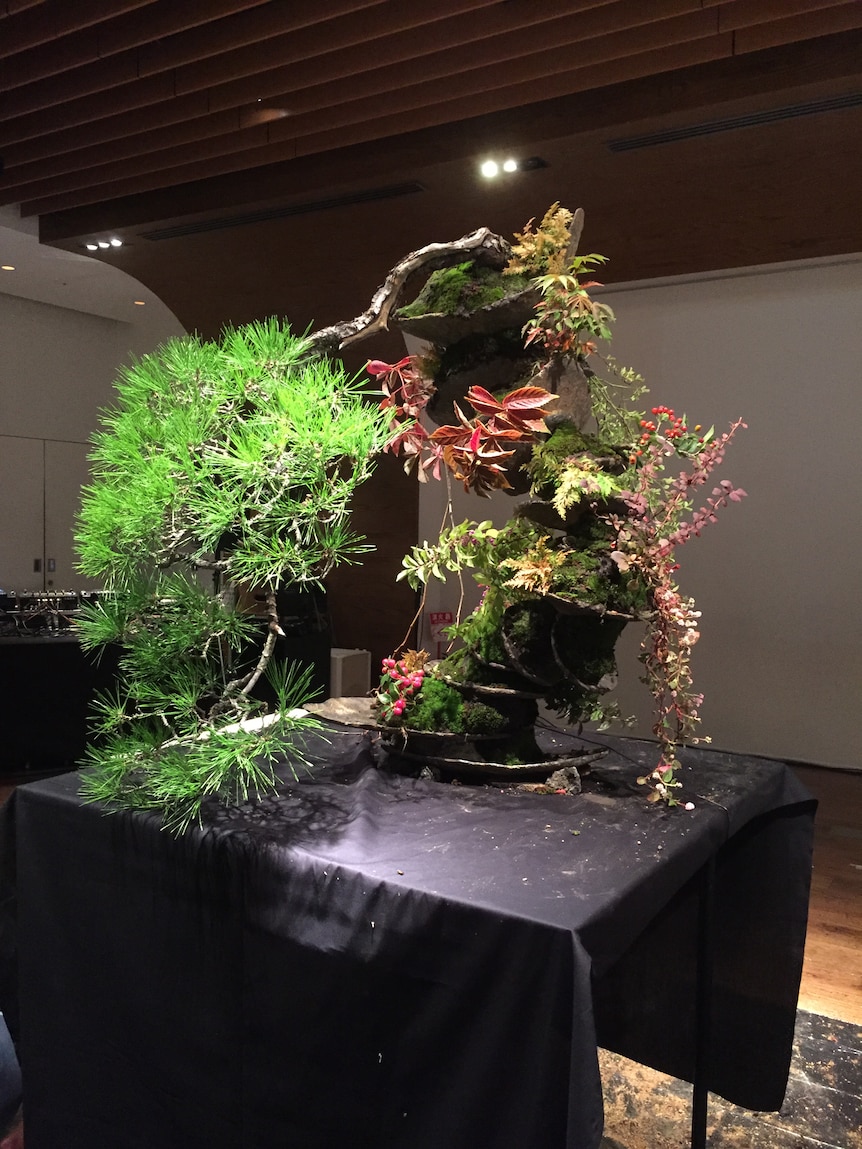 Bonsai master Masashi Hirao's finished work from his bonsai performance.
