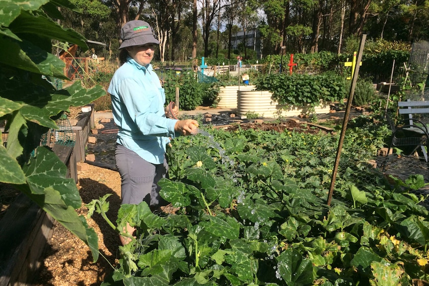 A Lost Plot Community Garden member hosing the garden during one of the twice weekly working bees.