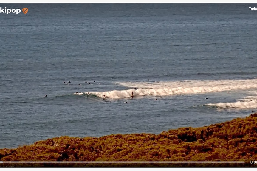 A screen shot of a website that streams surf beaches showing people surfing at Winki Pop.