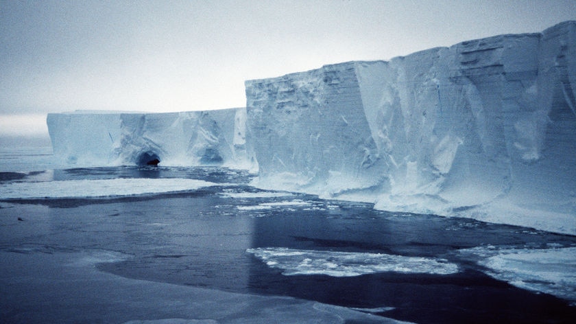 Mertz Glacier Iceberg