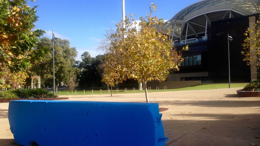 A blue concrete security barrier blocks part of a pathway at Adelaide Oval