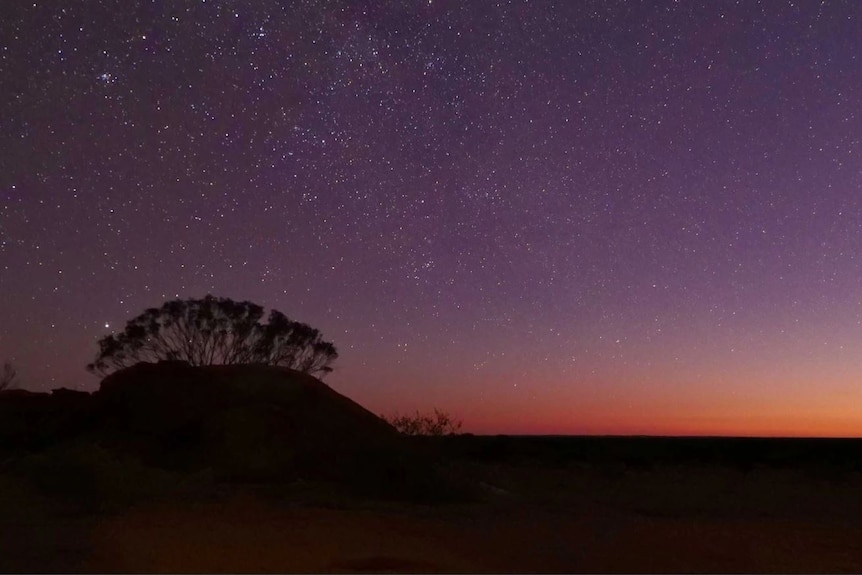 A photo at dusk with stars in the sky and a tree in the foreground.