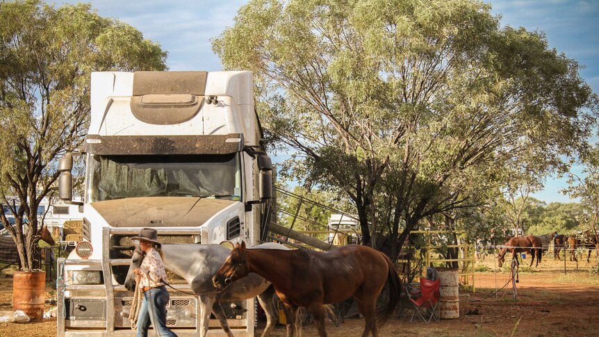 A lady leading two horses out the front of her truck setup.