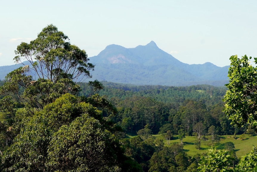 A landscape with a mountain range in the distance.