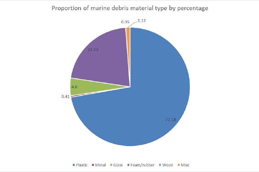 A photo of a pie chart showing the breakdown of marine debris by percentage of type.