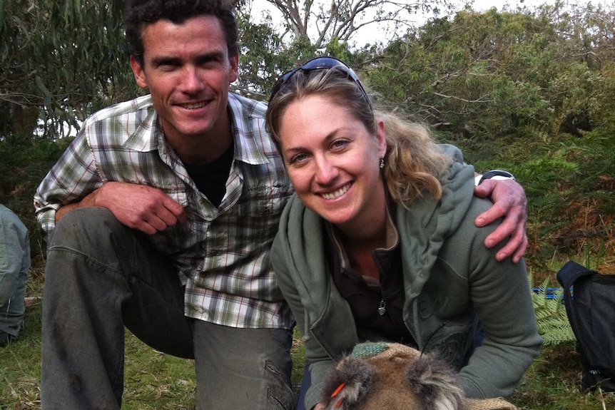 Sean FitzGibbon and Amber Gillett release a healthy koala into the wild.