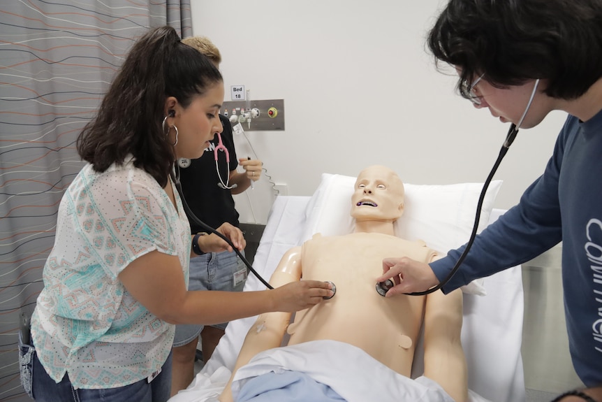 Two people use stethoscopes to check heart rate of a dummy lying down on a hospital bed