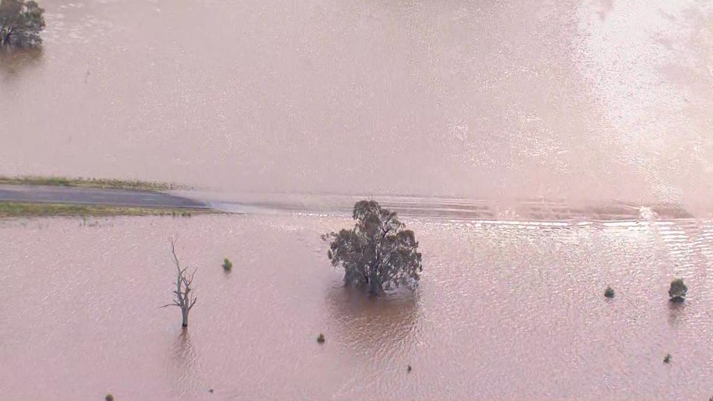 Flood clean up begins in NSW Central West - ABC News