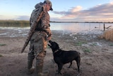 The gun dog training on the Loveday wetland complex in South Australia's Riverland