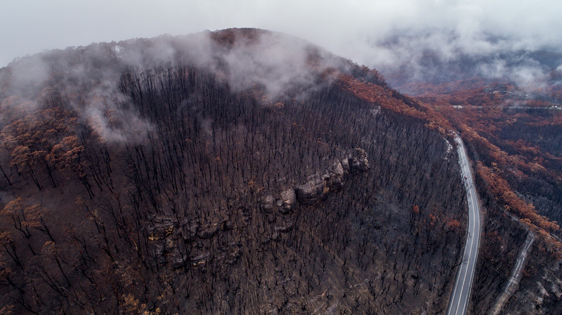 the aftermath of a bushfire