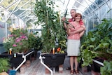 A man and woman in a greenhouse filled with vegetables