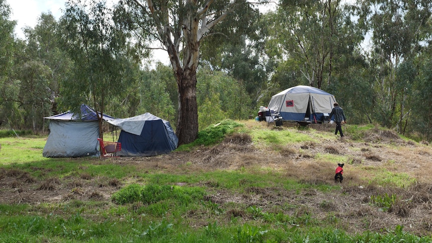 Two tents on lower ground with one tent on higher ground with a man walking towards it with a dog behind him.