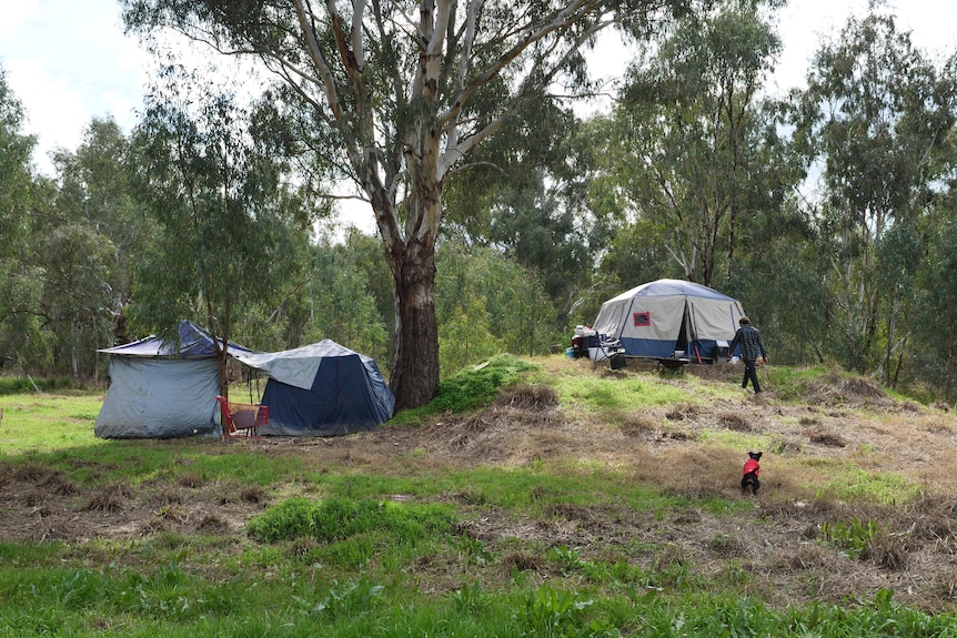 Two tents on lower ground with one tent on higher ground with a man walking towards it with a dog behind him.
