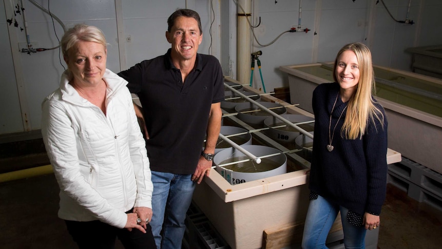 Pauline Ross, Wayne O'Connor and Laura Parker stand next to a tub of water with buckets containing oysters.