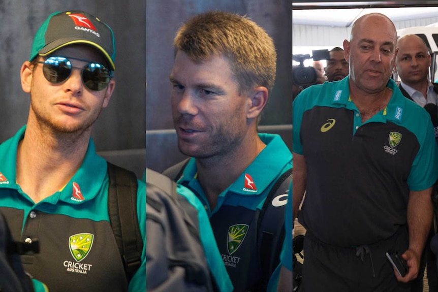 Composite of Steve Smith, David Warner and Darren Lehmann