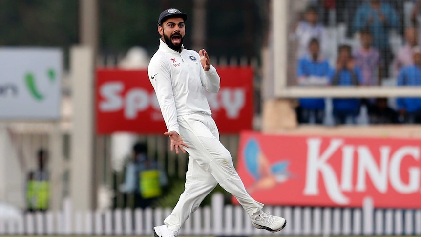 Virat Kohli carries on after David Warner's wicket