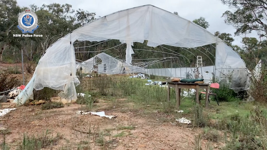 A torn plastic tunnel on a rural scrubby paddock.