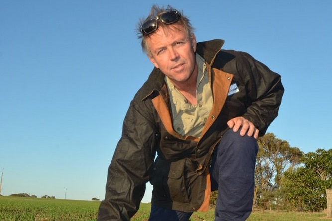 A man is kneeling in a paddock with crops coming out of the ground