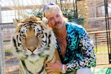 A picture of a blond man with a moustache and sparkly top with a tiger.
